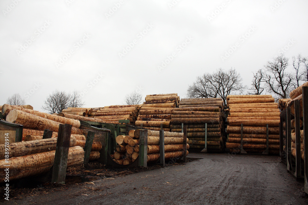 Background of round timber wood at production at the factory