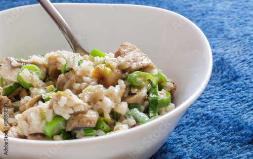 Pork and mushroom Stroganoff with rice on a blue background detail
