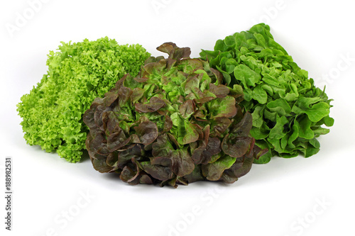 Drei verschiedene Salatköpfe