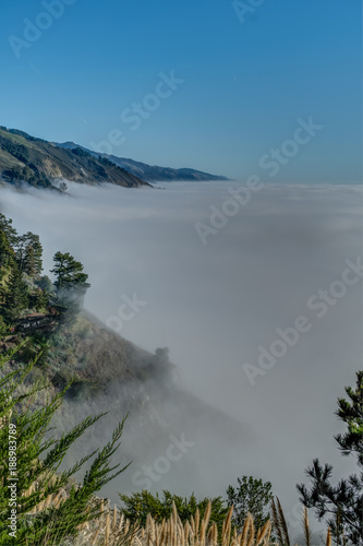 Diverse Beauty Graces the California Coast