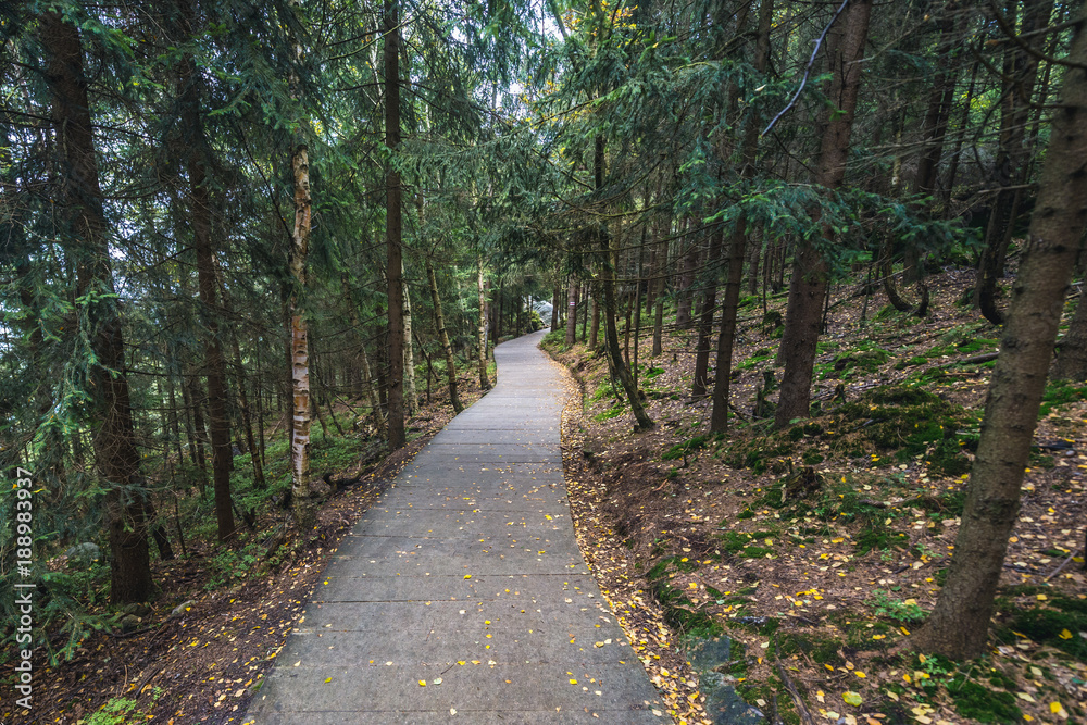 Walkway near tourist attraction of Table Mountains called Errant Rocks in Sudetes, Poland Walkway near tourist attraction of Table Mountains called Errant Rocks in Sudetes, Poland