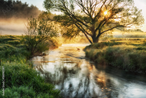 spring morning. a picturesque foggy dawn. Sun rays