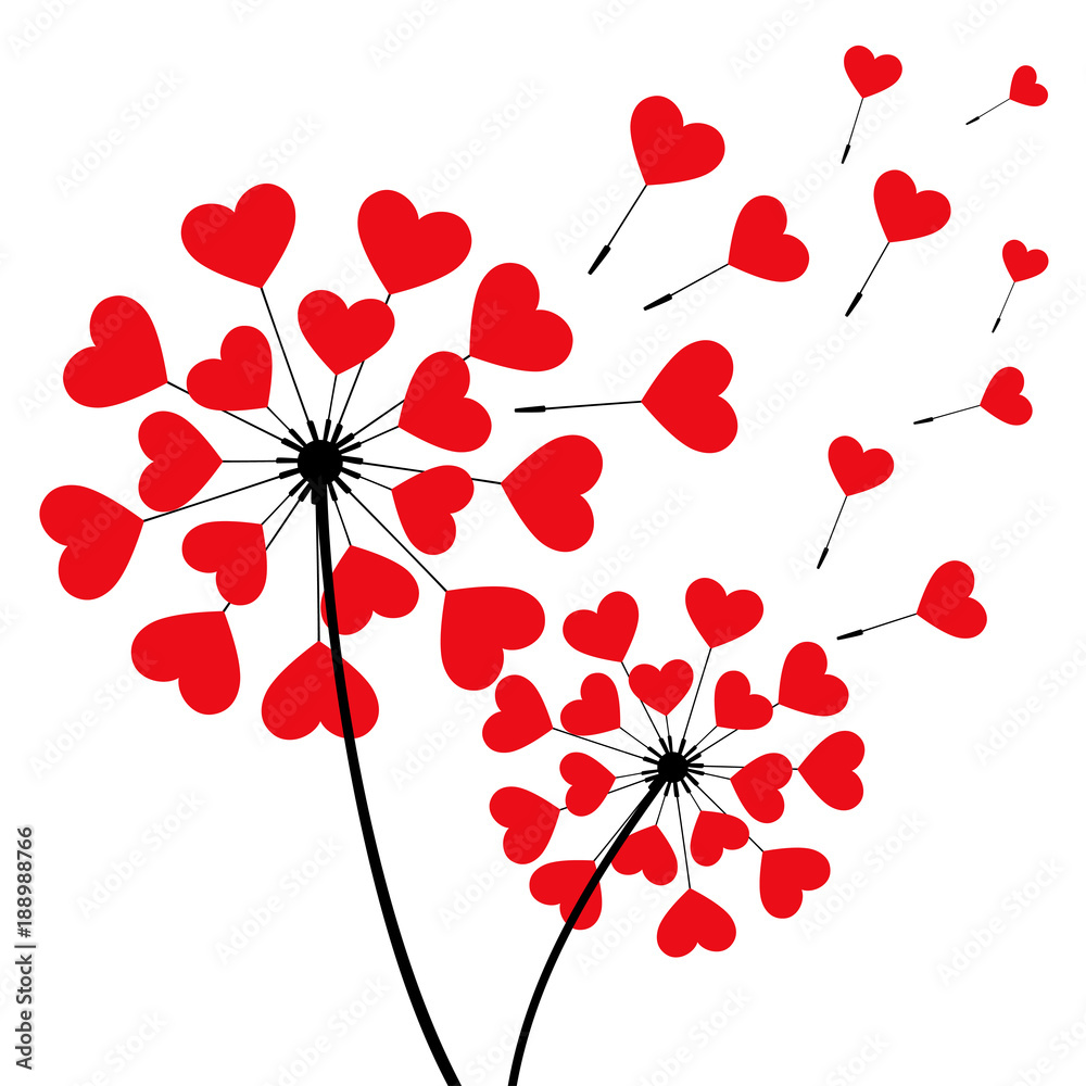 Obraz premium Two romantic dandelions heart shaped