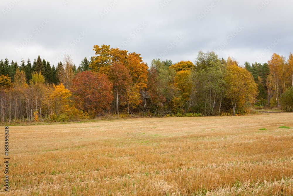 Autumn landscape harvested crop and trees