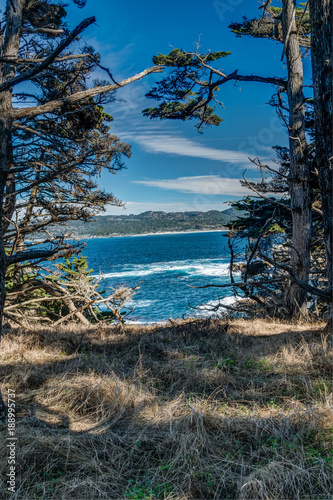 Diverse Beauty Graces the California Coast   © jearlwebb