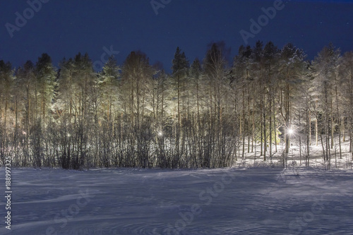 Ljuset från Lamporna vid gångstigen på  Gyltsaudden i Luleå lyser upp skogen och isen på älven där jag står och njuter av den gnistrande  och vacker stjärnklara vinternatten photo