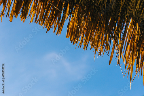 Straw roof with blue sky back ground.