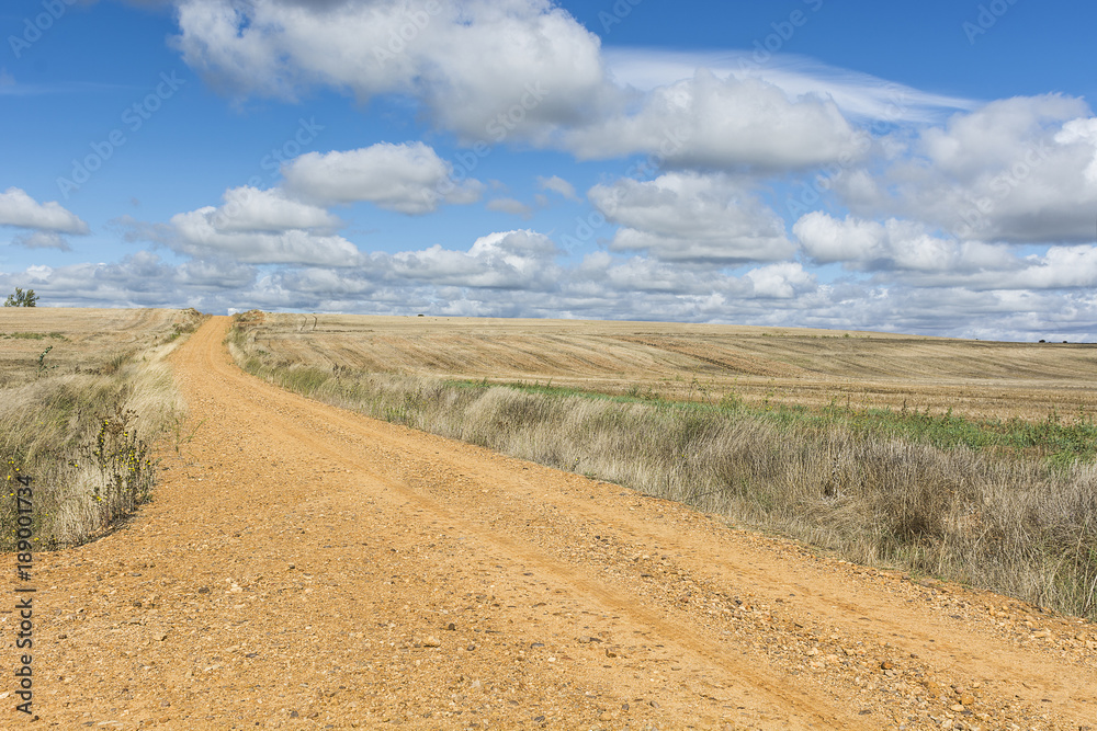 Obraz premium Service dirt road