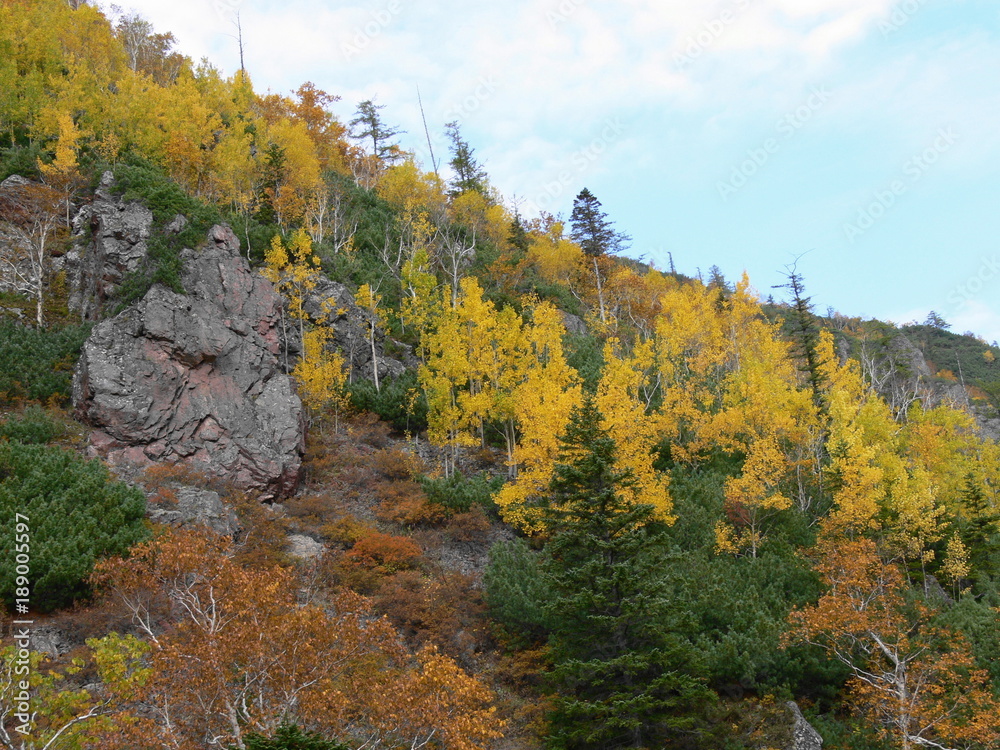 Fall in mountains