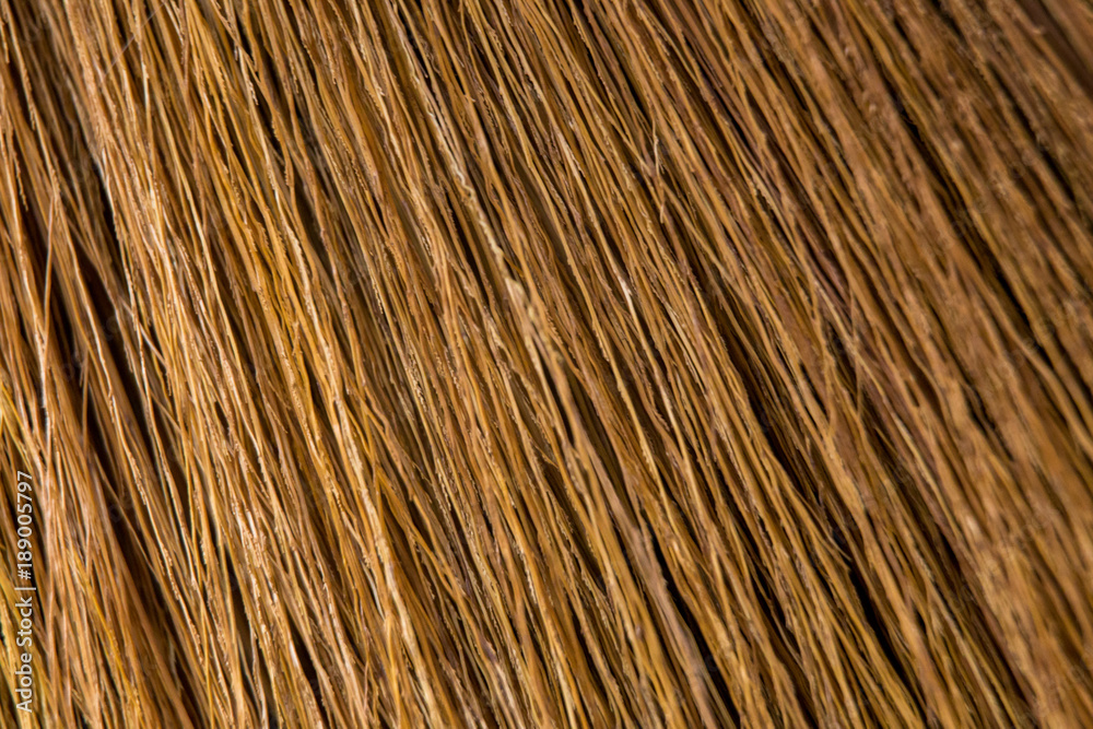 Broom on wooden floor Broom on wooden floor