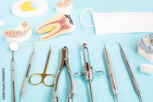 porsthodontic model and dentist tool - demonstration teeth model of varities of porsthodontic bracket or brace