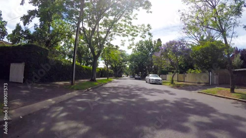 Vehicle POV driving along beautiful canopy tree lined streets