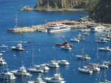 Many boats are moored in the port of Avalon Bay on Catalina Island, Channel Islands, California, USA.