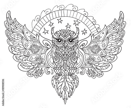 the owl contour