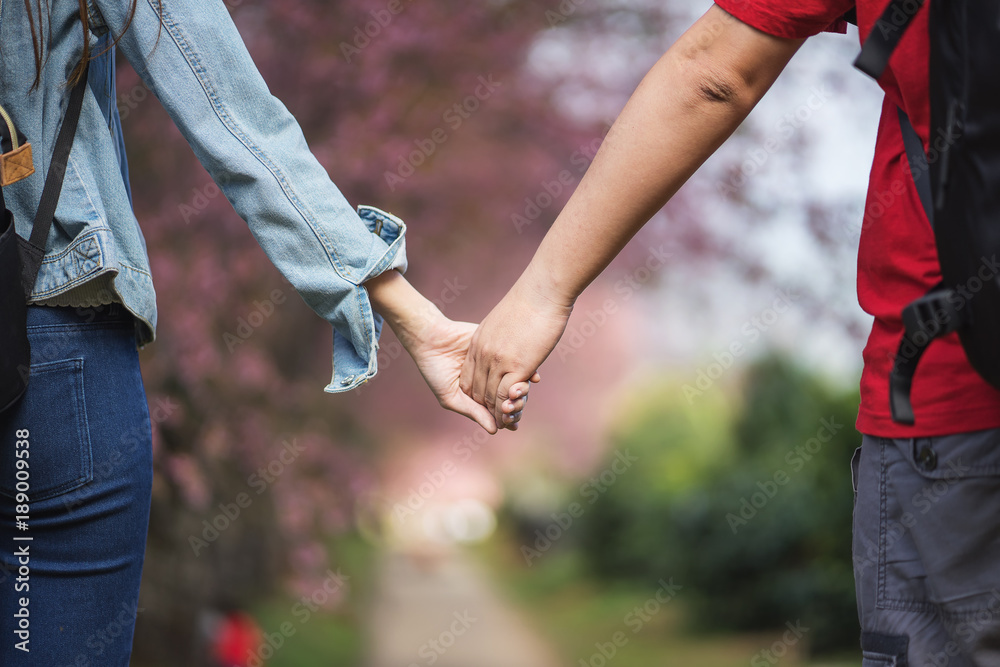 young couple in love holding hand together walking in a beautiful park with romantic nature background young couple in love holding hand together walking in a beautiful park with romantic nature background