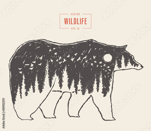 Silhouette wild bear forest wildlife drawn vector