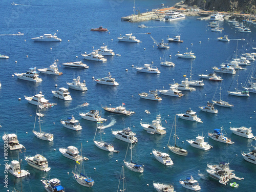 Many Boats Docked in a Safe Harbor on a Summer Day