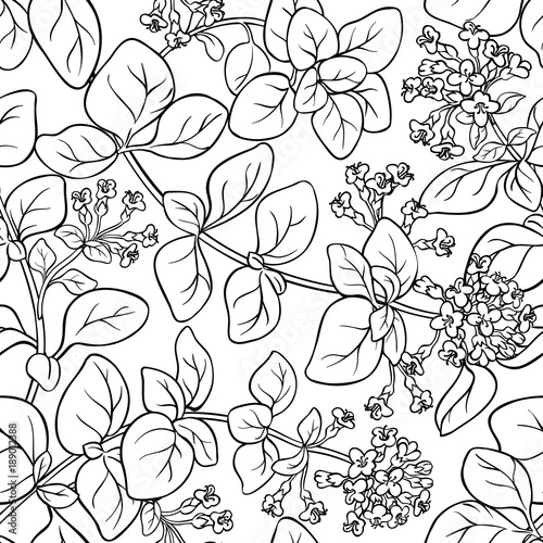 oregano seamless pattern © cuttlefish84