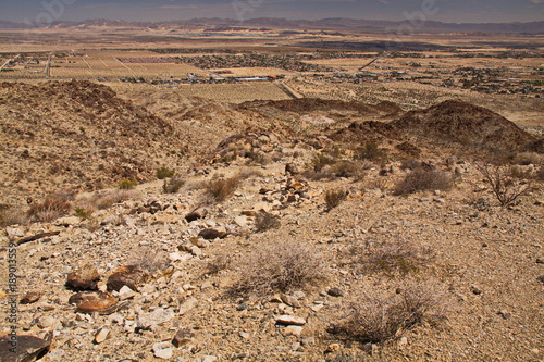 View of Oasis of Mara near Joshua Tree National Park from Fortynine Palms Oasis Walk
 photo