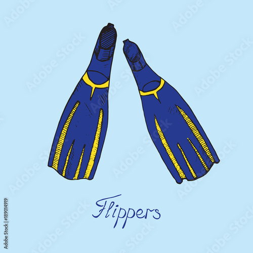 Pair of blue and yellow flippers, hand drawn doodle sketch with inscription, isolated vector color illustration