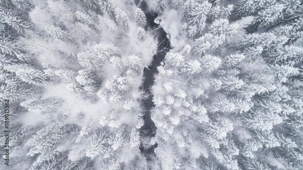 Foto auf Acrylglas mit Aerial view of the forest and river at winter. The trees are covered with snow #189015362