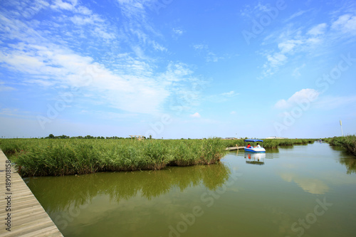 Landscape of wetlands