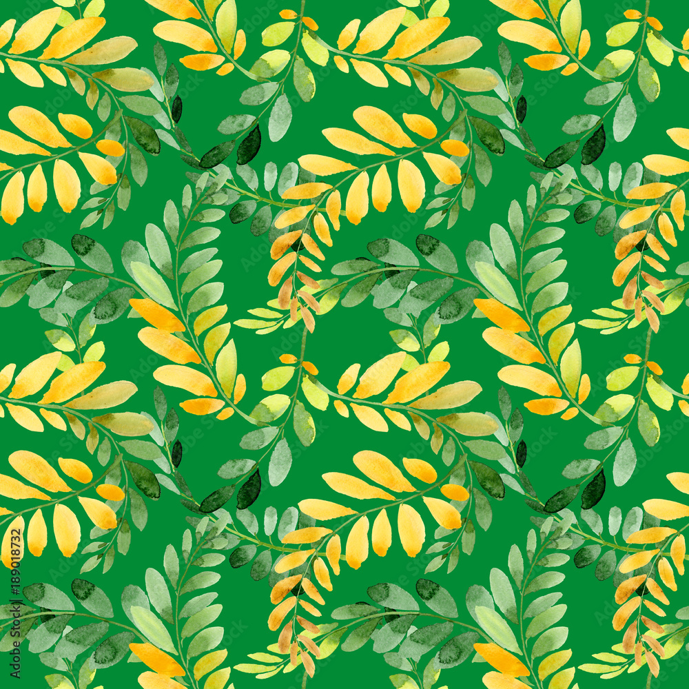 Autumn leaf of acacia pattern in a hand drawn watercolor style. Aquarelle acorn for background, texture, wrapper pattern, frame or border. Autumn leaf of acacia pattern in a hand drawn watercolor style. Aquarelle acorn for background, texture, wrapper pattern, frame or border.