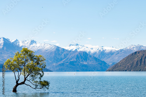 New Zealand Lake Wanaka landscape with mountains and tree