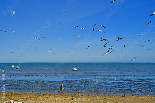 Rivedoux Plage; France - november 26 2017 : picturesque seaside photo