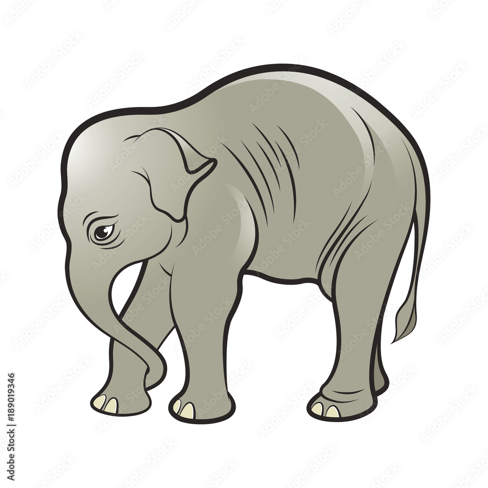 Fototapeta premium isolated Asian baby elephant vector drawing