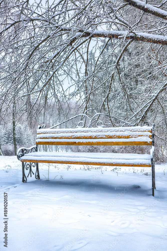 Park bench and trees covered by heavy snow