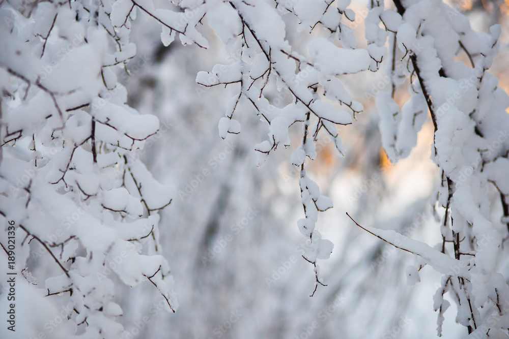 Obraz premium winter protection against cold