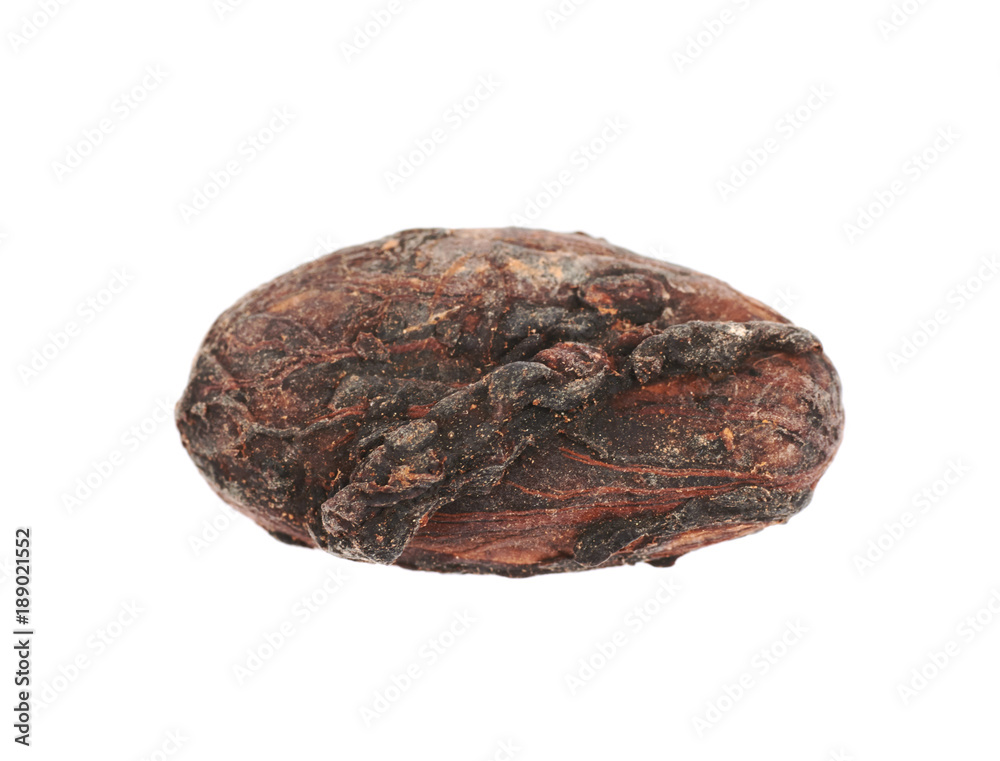 Single cocoa bean isolated