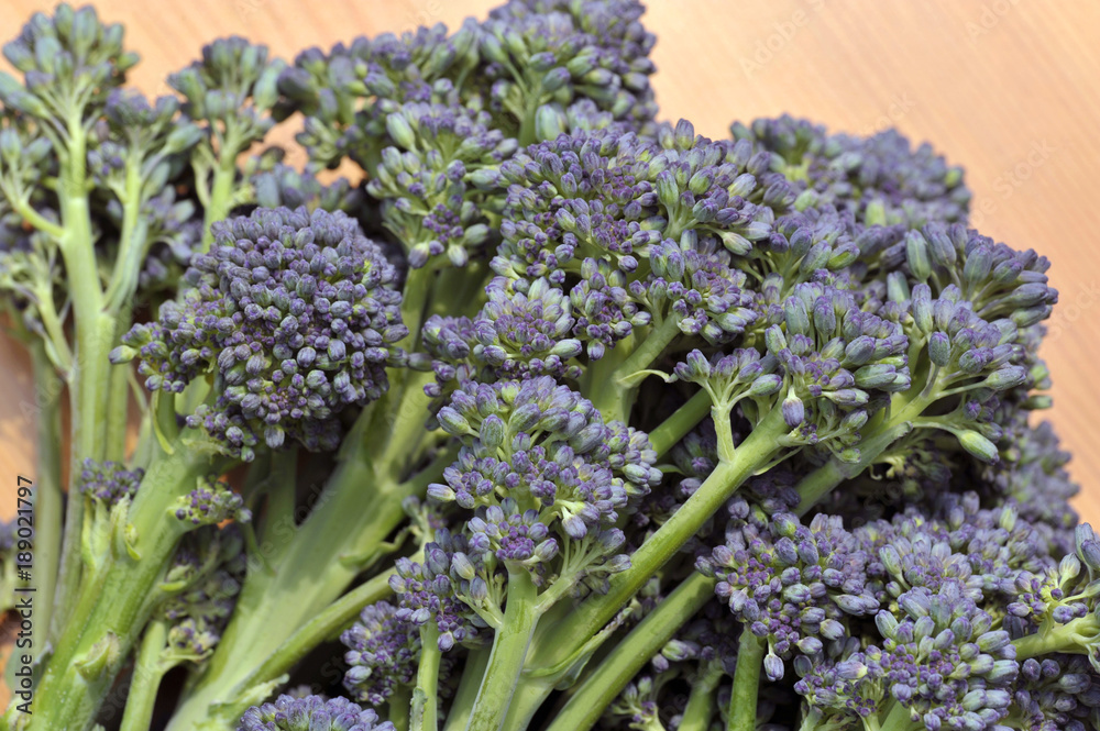 Broccoli