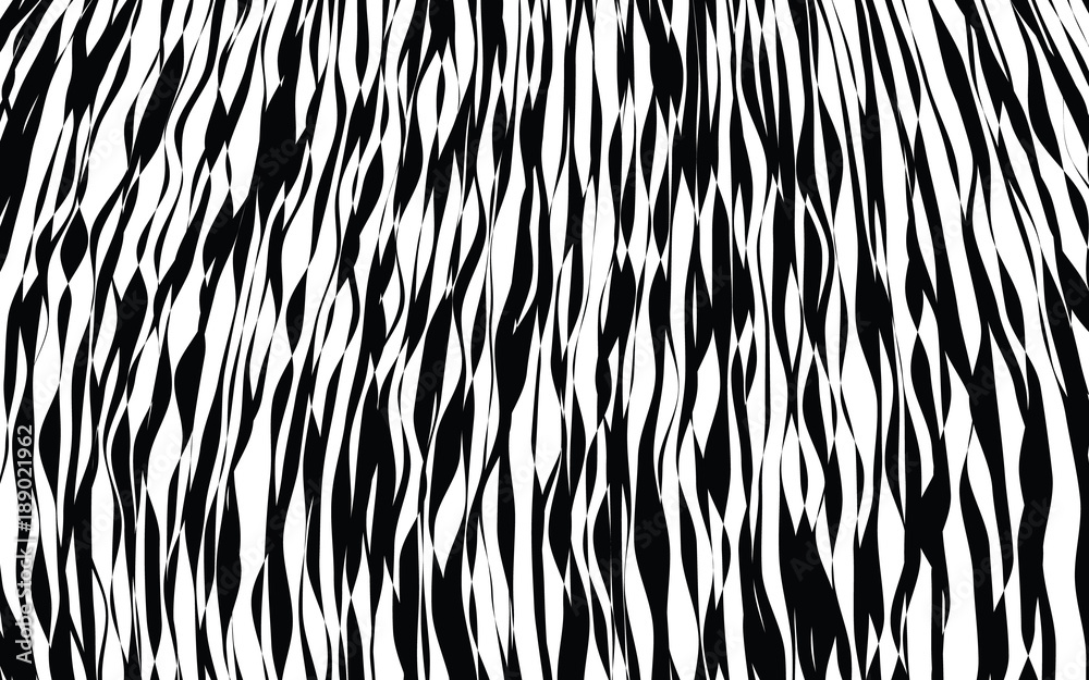 Black and White Wave Stripe Optical Abstract Background Black and White Wave Stripe Optical Abstract Background