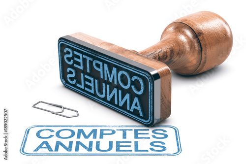 Bilan Comptable Resultats Ou Comptes Annuels De Societe Stock Illustration Adobe Stock