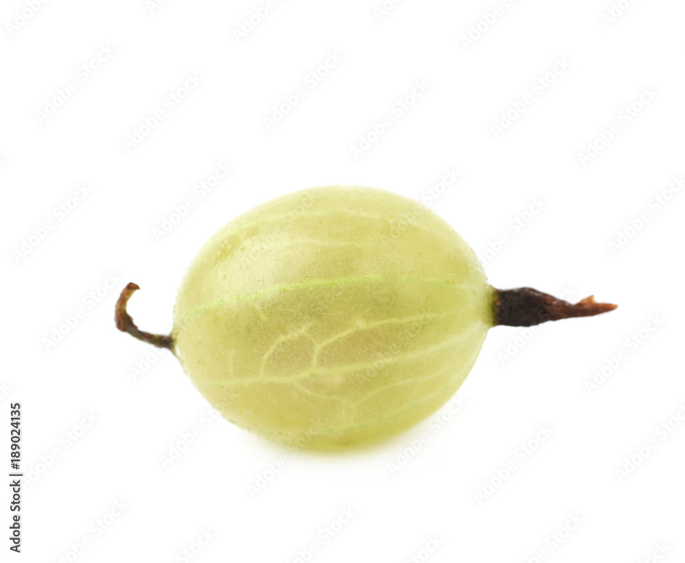 Single gooseberry isolated