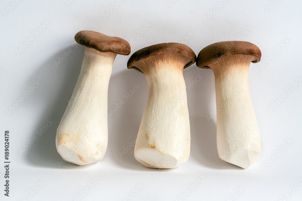 Brauner Kräuterseitling Brauner Kräuterseitling