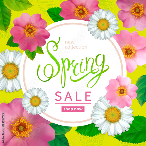 Fototapeta Naklejka Na Ścianę i Meble -  Spring sale background with flowers rose hips and chamomile, abstract hand drawn elements. Design for greeting cards, banners, calendars, posters, invitations.