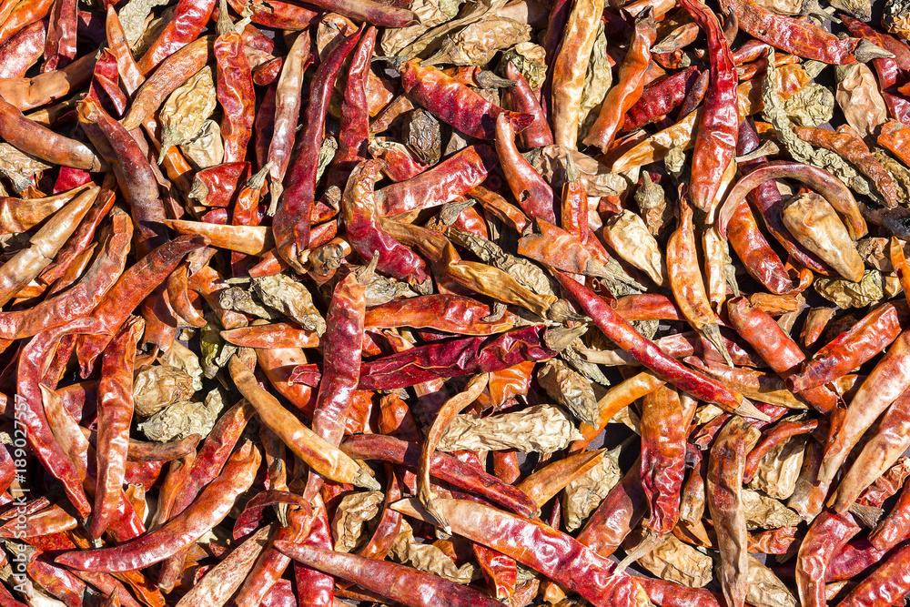 Dried red chilli peppers background in Kathmandu, Nepal Dried red chilli peppers background in Kathmandu, Nepal