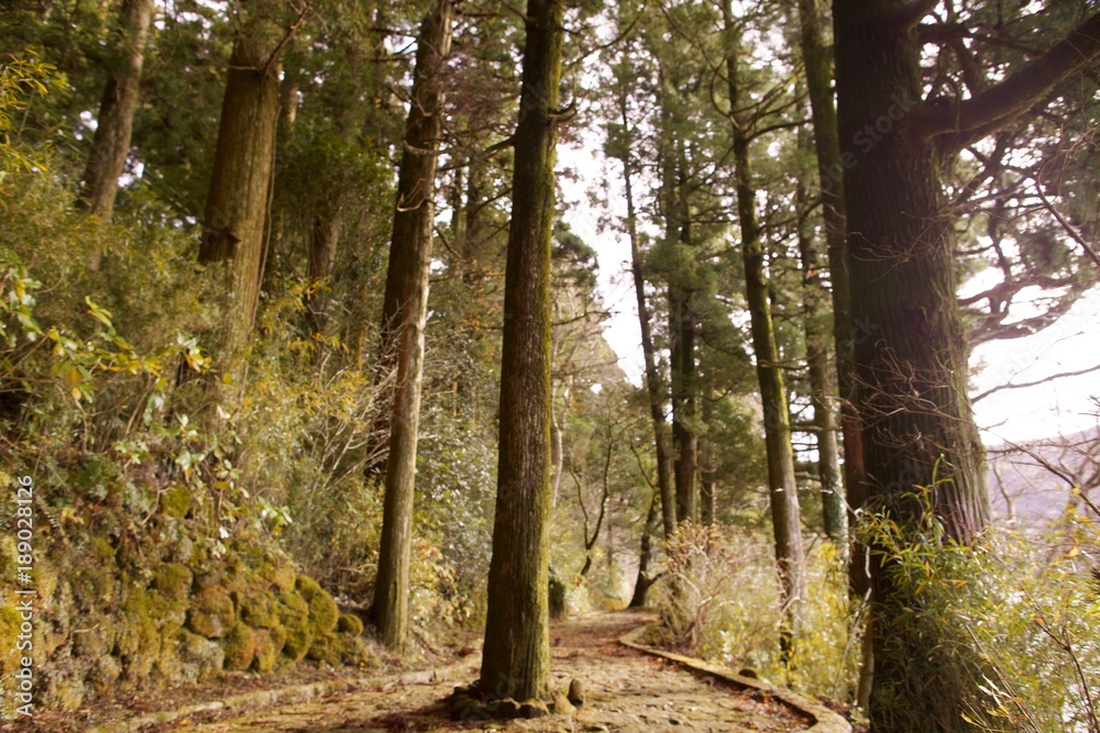 Obraz premium 箱根