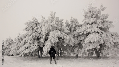 traveler on the background of dark winter forest