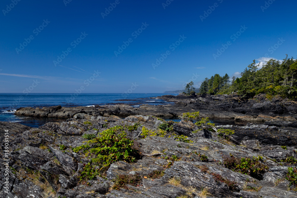 Küstenlandschaft am Botanical Beach im Juan de Fuca Provincial Park auf Vancouver Island, British Columbia, Kanada. Küstenlandschaft am Botanical Beach im Juan de Fuca Provincial Park auf Vancouver Island, British Columbia, Kanada.