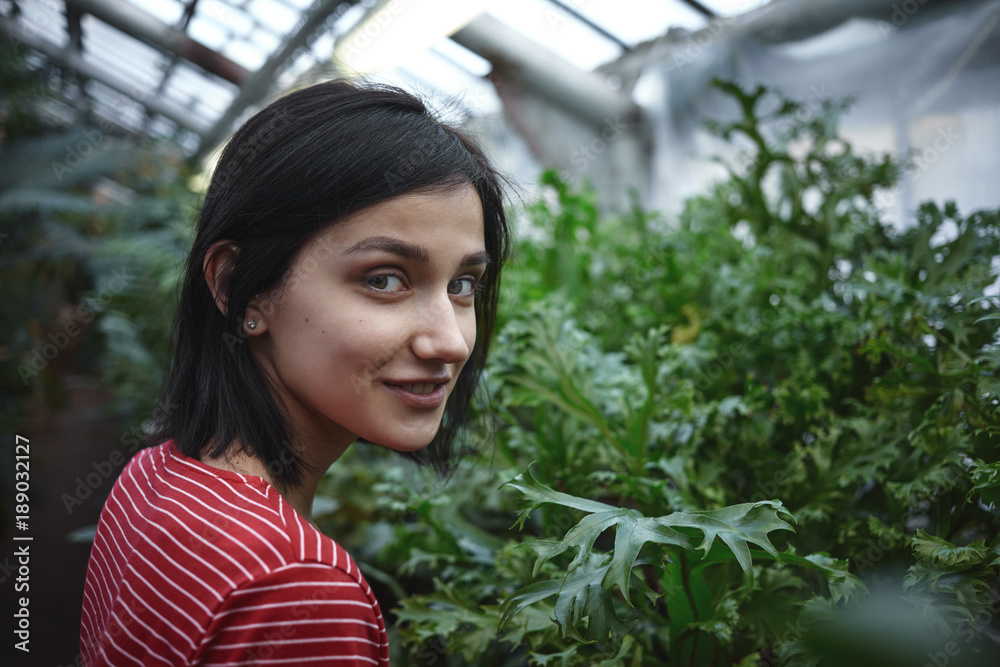 Back view of cheerful young female farmer posing in nursery, taking care of agrcultural or ornamental plants, looking and smiling at camera, People, ecology, agriculture and cultivation concept Back view of cheerful young female farmer posing in nursery, taking care of agrcultural or ornamental plants, looking and smiling at camera, People, ecology, agriculture and cultivation concept