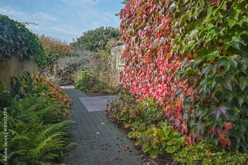 Footpath through the garden in beautiful autumn colors