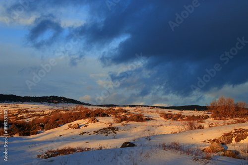 snowy landscape in Cerdagne Pyrenees orientales in south of France