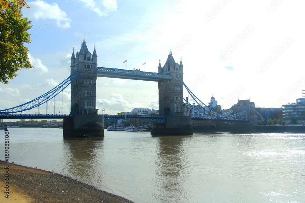 Obraz premium Bridge