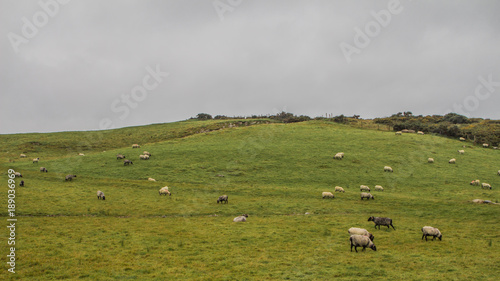 Irlanda photo