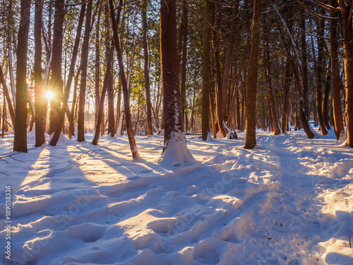 Winter trail at sunrise