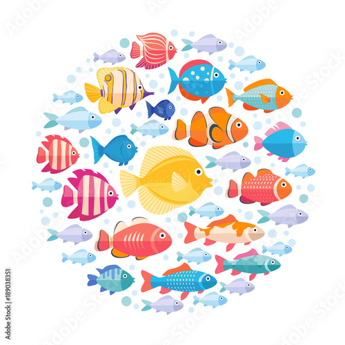 Colorful aquarium fish set in circle vector isolated. Tropical fishes collection